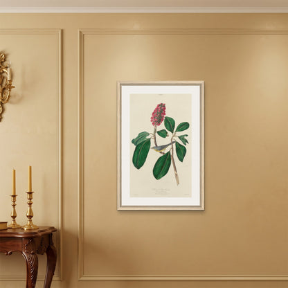 Orlonzo - FRAMED CANVAS WOOD 60x90cm24x36 ROOM
