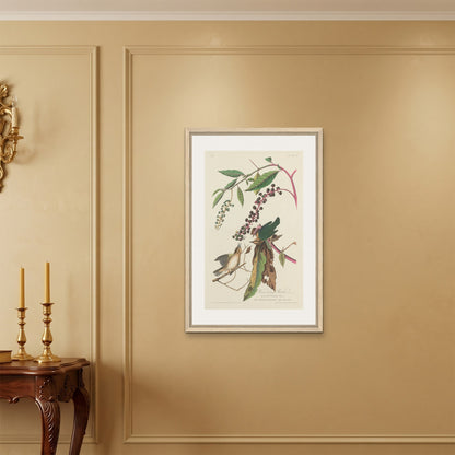 Orlonzo - FRAMED CANVAS WOOD 60x90cm24x36 ROOM