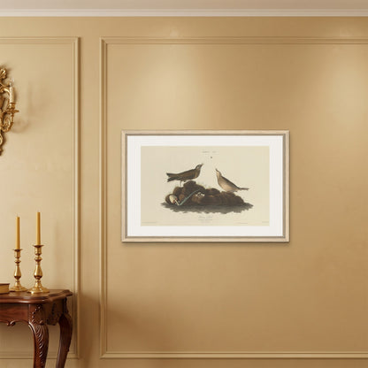 Orlonzo - FRAMED CANVAS WOOD 9060cm3624 ROOM