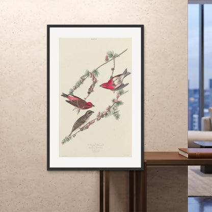 Orlonzo - FRAMED PRINT BLACK 100x150cm40x60 ROOM