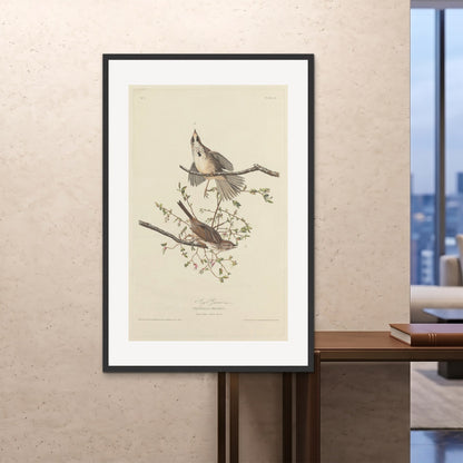 Orlonzo - FRAMED PRINT BLACK 100x150cm40x60 ROOM