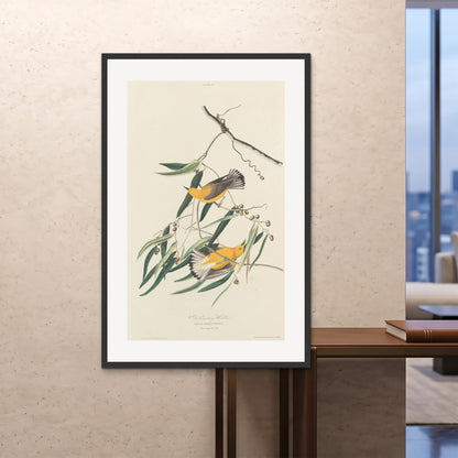 Orlonzo - FRAMED PRINT BLACK 100x150cm40x60 ROOM