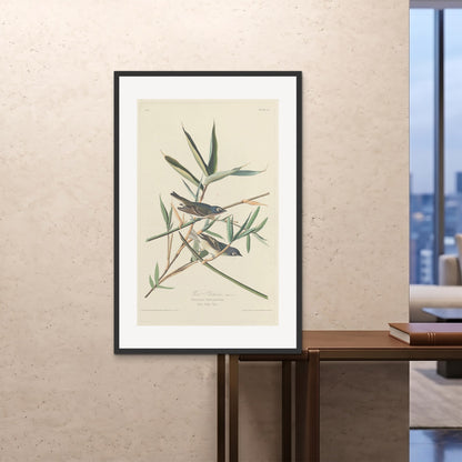 Orlonzo - FRAMED PRINT BLACK 80120cm3248 ROOM