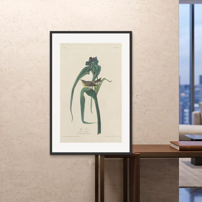 Orlonzo - FRAMED PRINT BLACK 80120cm3248 ROOM