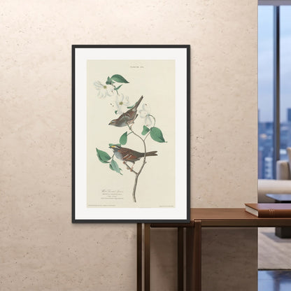 Orlonzo - FRAMED PRINT BLACK 80120cm3248 ROOM