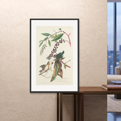 Orlonzo - FRAMED PRINT BLACK 80120cm3248 ROOM