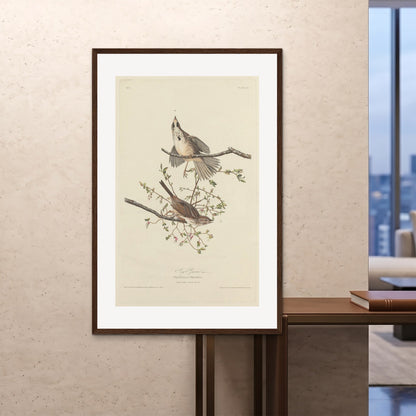 Orlonzo - FRAMED PRINT DARK WOOD 100x150cm40x60 ROOM