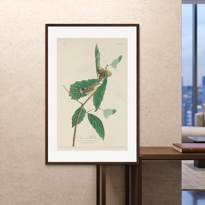 Orlonzo - FRAMED PRINT DARK WOOD 100x150cm40x60 ROOM