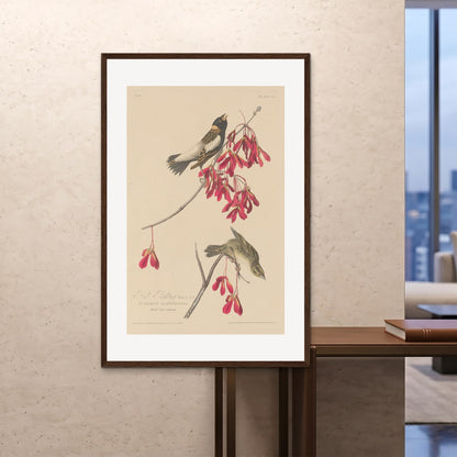 Orlonzo - FRAMED PRINT DARK WOOD 100x150cm40x60 ROOM