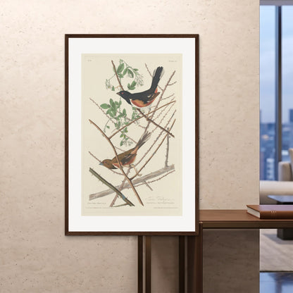 Orlonzo - FRAMED PRINT DARK WOOD 100x150cm40x60 ROOM