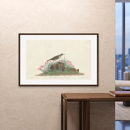Orlonzo - FRAMED PRINT DARK WOOD 12080cm4832 ROOM