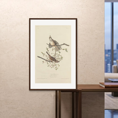 Orlonzo - FRAMED PRINT DARK WOOD 80120cm3248 ROOM