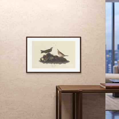Orlonzo - FRAMED PRINT DARK WOOD 9060cm3624 ROOM