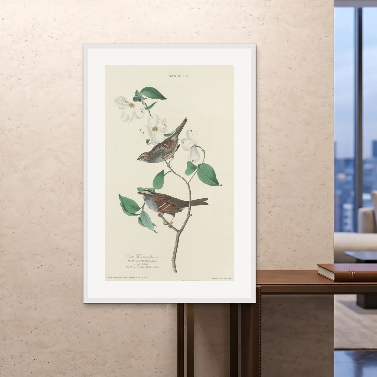 Orlonzo - FRAMED PRINT WHITE 100x150cm40x60 ROOM