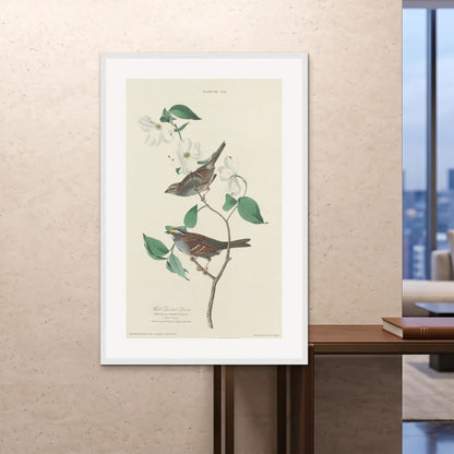 Orlonzo - FRAMED PRINT WHITE 100x150cm40x60 ROOM