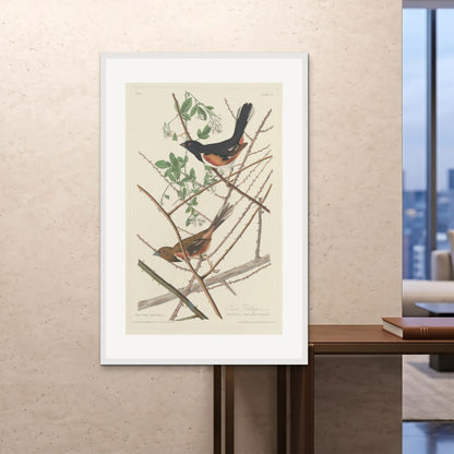 Orlonzo - FRAMED PRINT WHITE 100x150cm40x60 ROOM