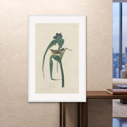 Orlonzo - FRAMED PRINT WHITE 100x150cm40x60 ROOM