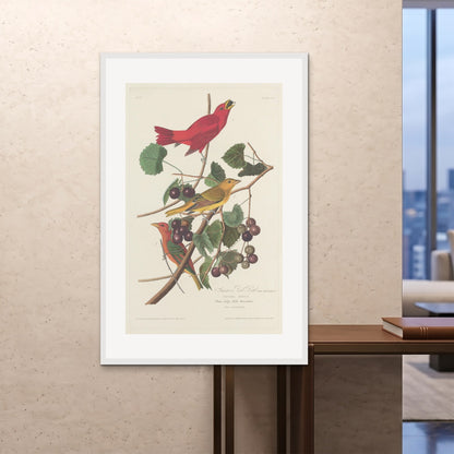 Orlonzo - FRAMED PRINT WHITE 100x150cm40x60 ROOM