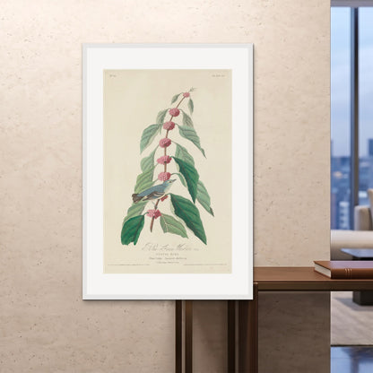 Orlonzo - FRAMED PRINT WHITE 100x150cm40x60 ROOM