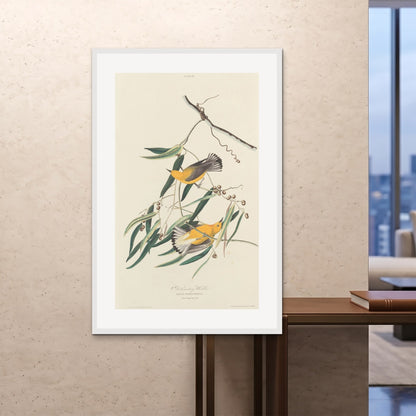 Orlonzo - FRAMED PRINT WHITE 100x150cm40x60 ROOM