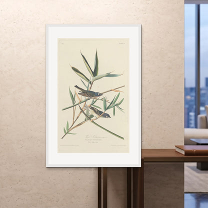 Orlonzo - FRAMED PRINT WHITE 100x150cm40x60 ROOM