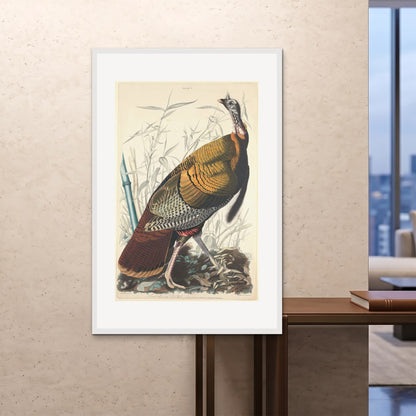Orlonzo - FRAMED PRINT WHITE 100x150cm40x60 ROOM