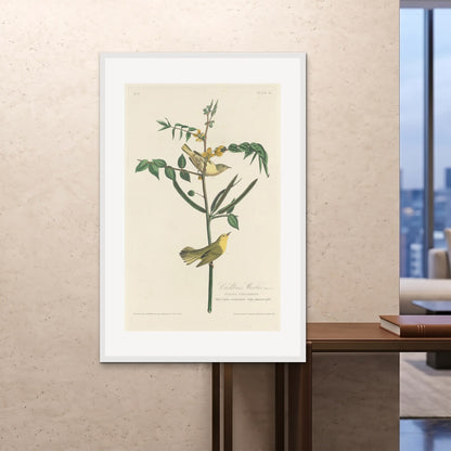 Orlonzo - FRAMED PRINT WHITE 100x150cm40x60 ROOM