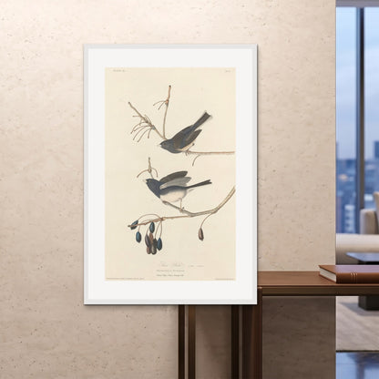 Orlonzo - FRAMED PRINT WHITE 100x150cm40x60 ROOM