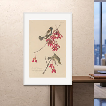 Orlonzo - FRAMED PRINT WHITE 100x150cm40x60 ROOM
