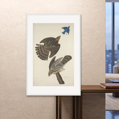 Orlonzo - FRAMED PRINT WHITE 100x150cm40x60 ROOM