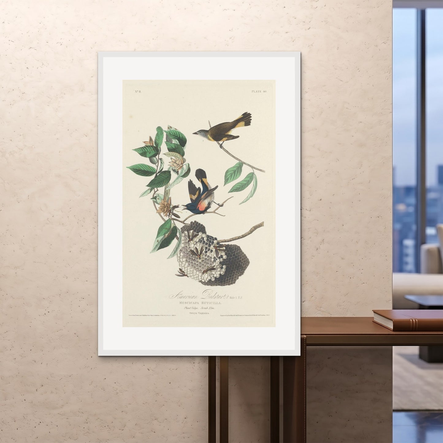 Orlonzo - FRAMED PRINT WHITE 100x150cm40x60 ROOM