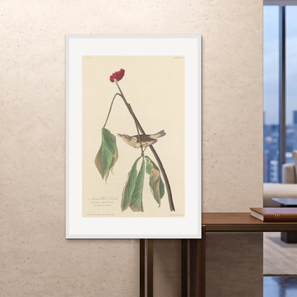Orlonzo - FRAMED PRINT WHITE 100x150cm40x60 ROOM
