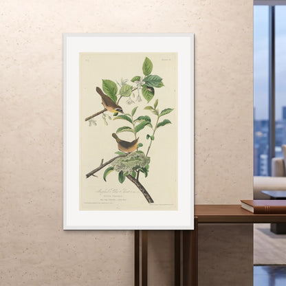Orlonzo - FRAMED PRINT WHITE 100x150cm40x60 ROOM