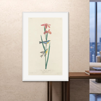 Orlonzo - FRAMED PRINT WHITE 100x150cm40x60 ROOM
