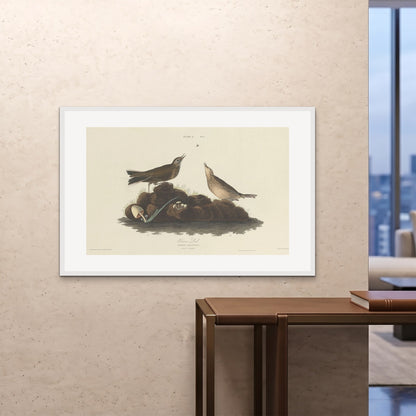 Orlonzo - FRAMED PRINT WHITE 12080cm4832 ROOM