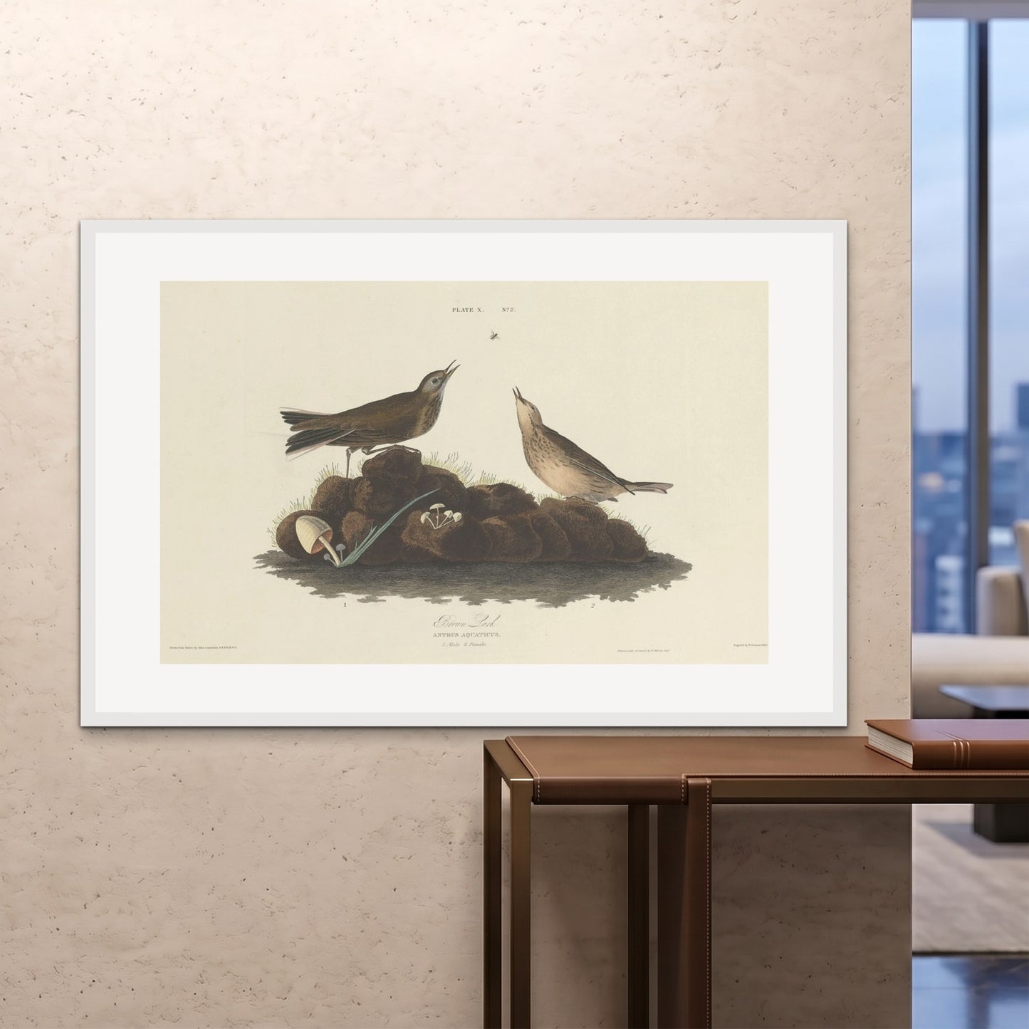 Orlonzo - FRAMED PRINT WHITE 150100cm6040 ROOM