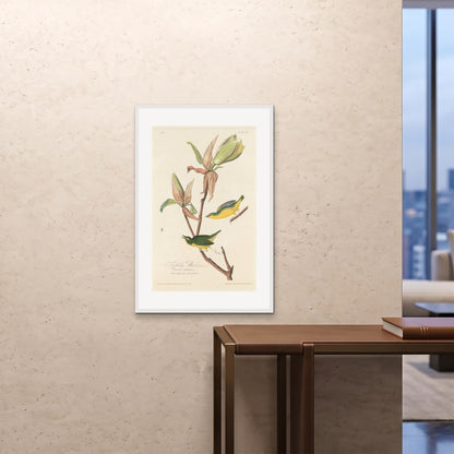 Orlonzo - FRAMED PRINT WHITE 24x3660x90cm ROOM