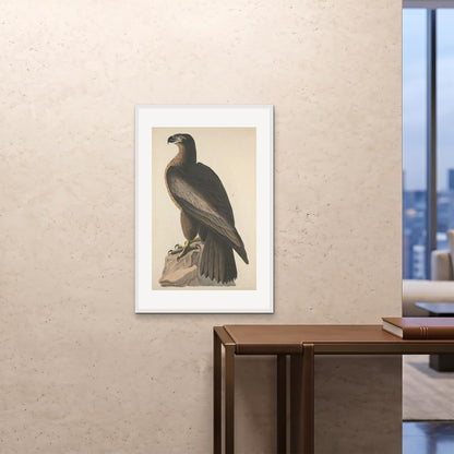 Orlonzo - FRAMED PRINT WHITE 24x3660x90cm ROOM