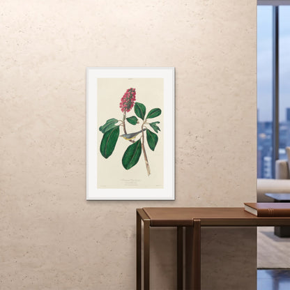 Orlonzo - FRAMED PRINT WHITE 24x3660x90cm ROOM