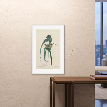 Orlonzo - FRAMED PRINT WHITE 24x3660x90cm ROOM