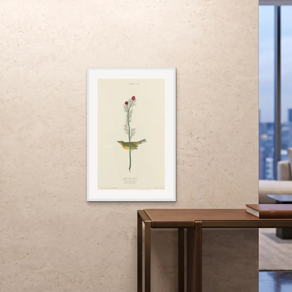 Orlonzo - FRAMED PRINT WHITE 24x3660x90cm ROOM