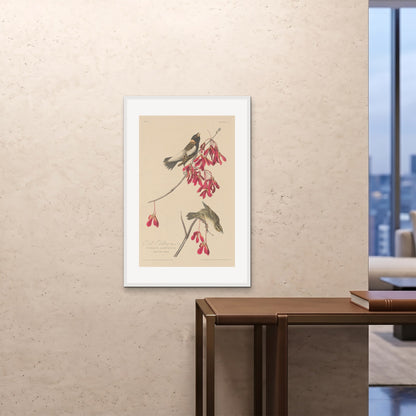 Orlonzo - FRAMED PRINT WHITE 24x3660x90cm ROOM