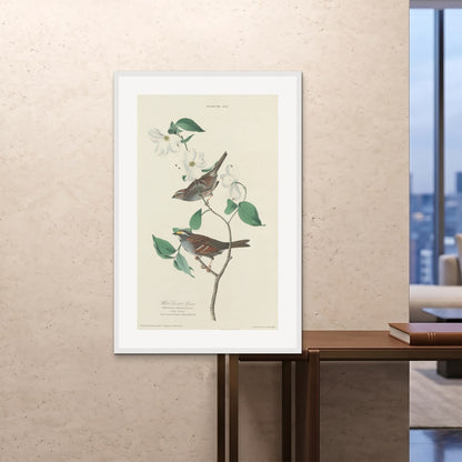 Orlonzo - FRAMED PRINT WHITE 80120cm3248 ROOM
