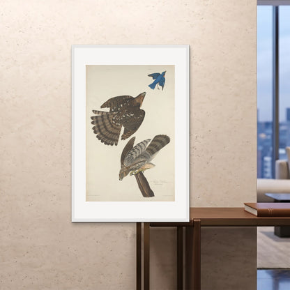 Orlonzo - FRAMED PRINT WHITE 80120cm3248 ROOM