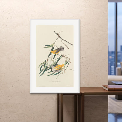 Orlonzo - FRAMED PRINT WHITE 80120cm3248 ROOM