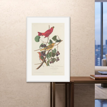 Orlonzo - FRAMED PRINT WHITE 80120cm3248 ROOM
