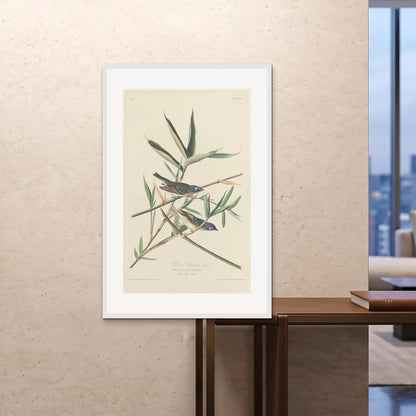 Orlonzo - FRAMED PRINT WHITE 80120cm3248 ROOM