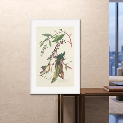Orlonzo - FRAMED PRINT WHITE 80120cm3248 ROOM