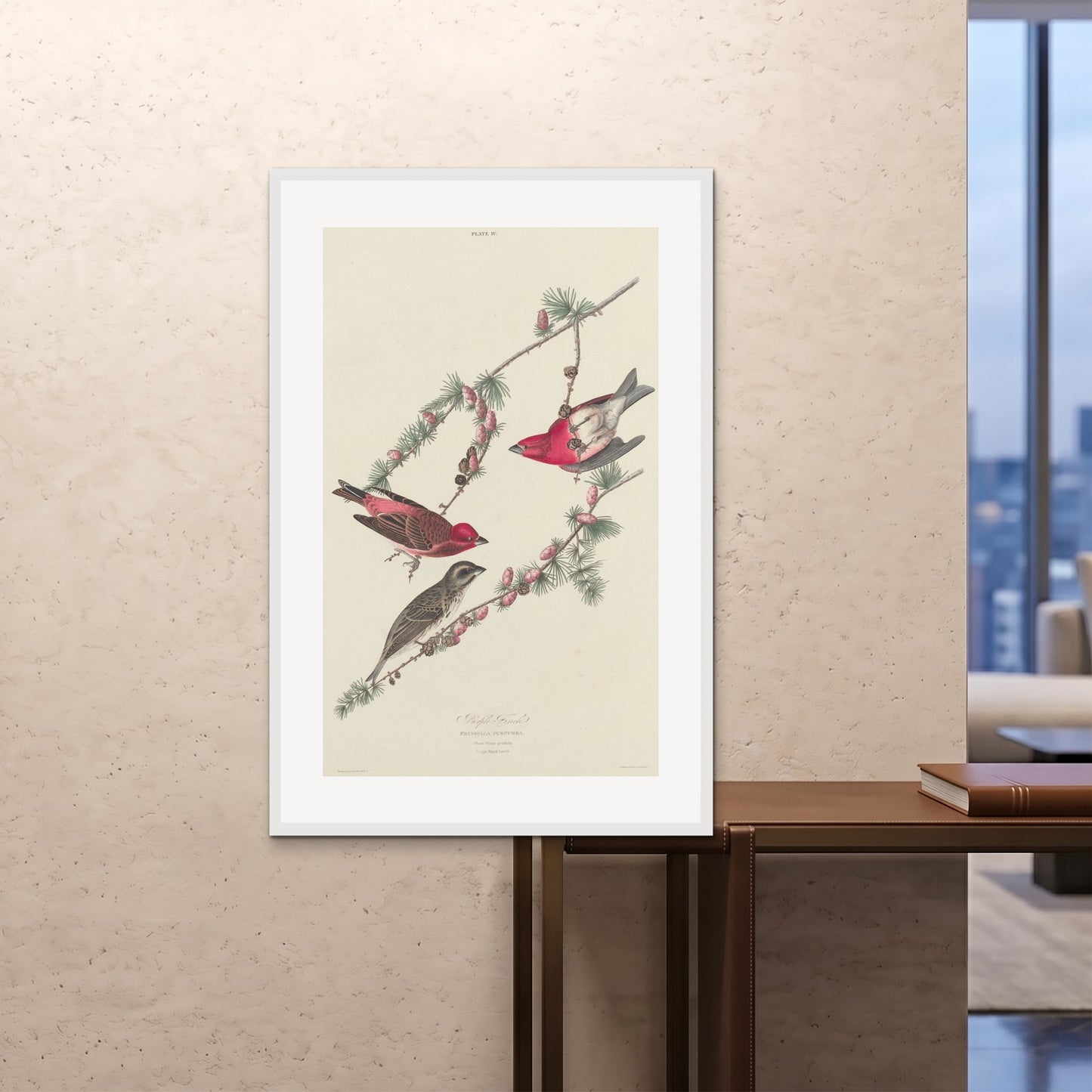 Orlonzo - FRAMED PRINT WHITE 80120cm3248 ROOM