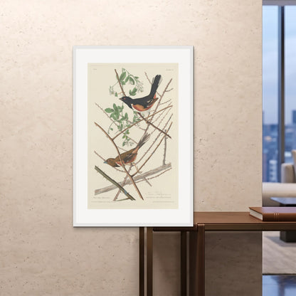 Orlonzo - FRAMED PRINT WHITE 80120cm3248 ROOM